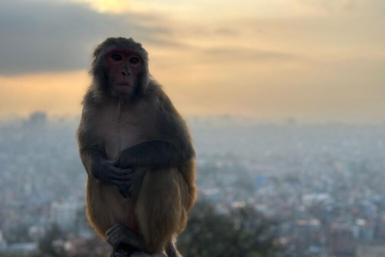 16cd2cb0-6628-4494-afd9-b3b486992f60